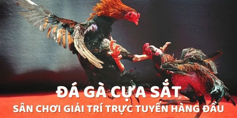 Quản lý tài chính hợp lý